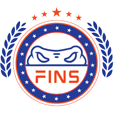 Florida Institute of National Security (FINS) logo